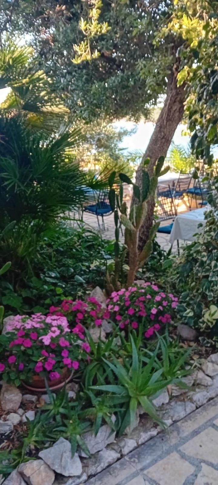 Apartments Vila Miranda On The Beach Barbat na Rabu Extérieur photo