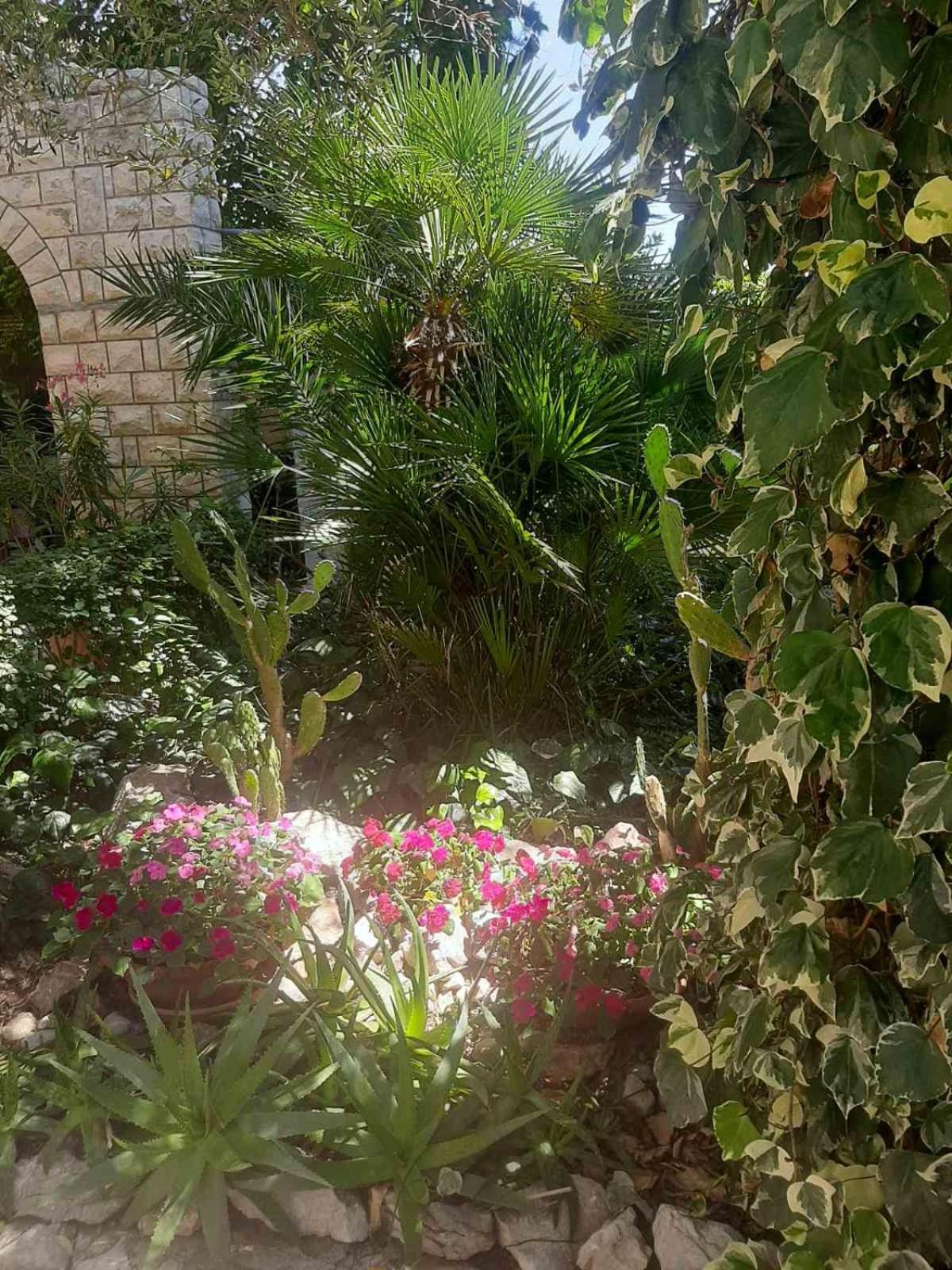 Apartments Vila Miranda On The Beach Barbat na Rabu Extérieur photo
